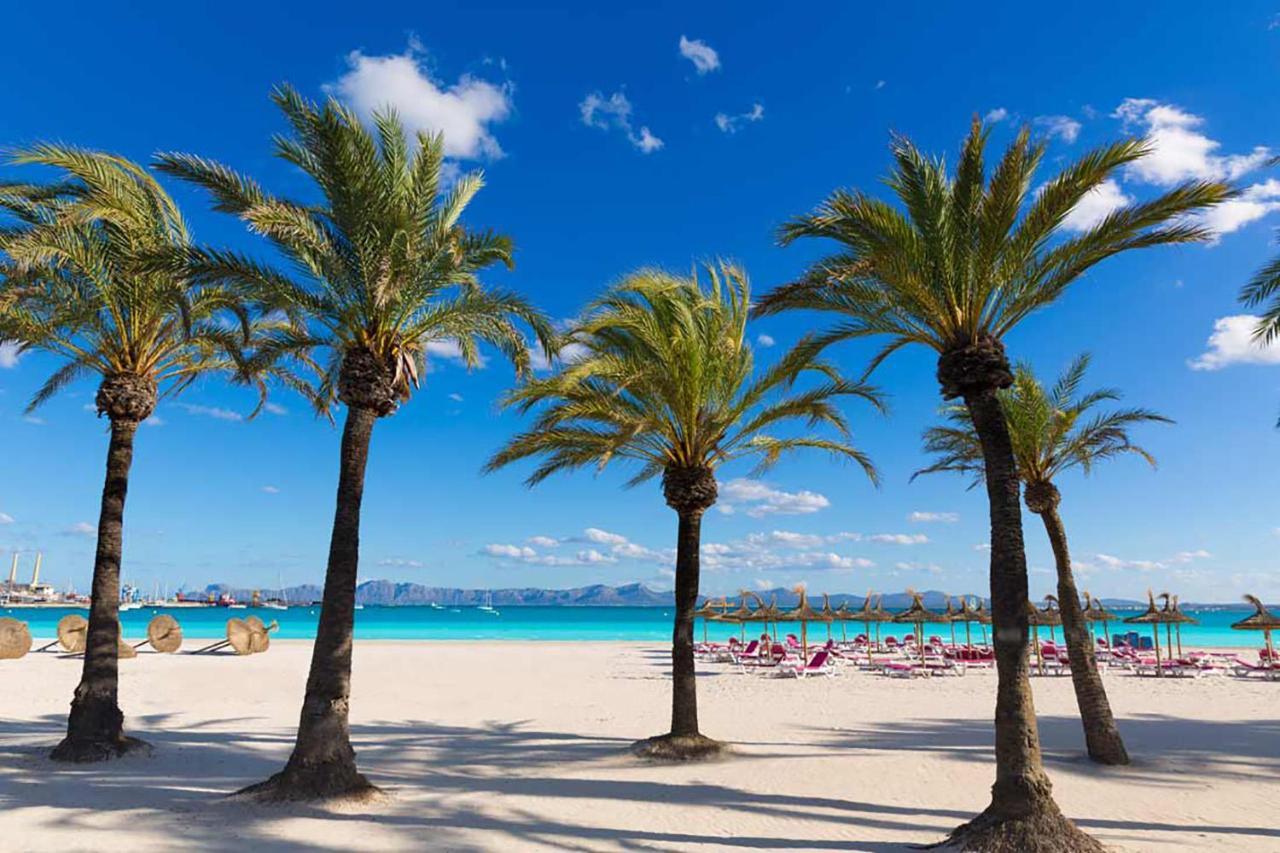 Concha Junto A Playa, Clavells 1 1er D Alcúdia